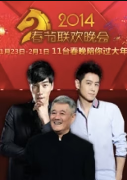 历年卫视春晚 深圳卫视蛇年春晚