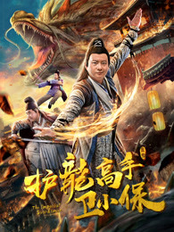 护龙高手卫小保 正片